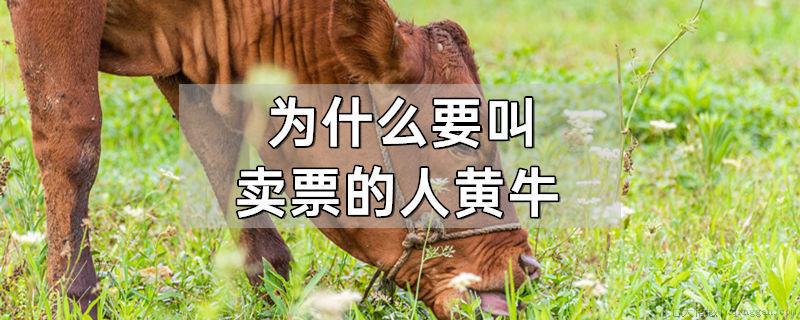 为什么要叫卖票的人黄牛