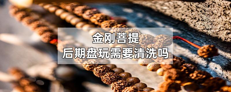 金刚菩提后期盘玩需要清洗吗