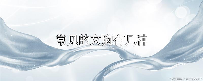 常见的文胸有几种