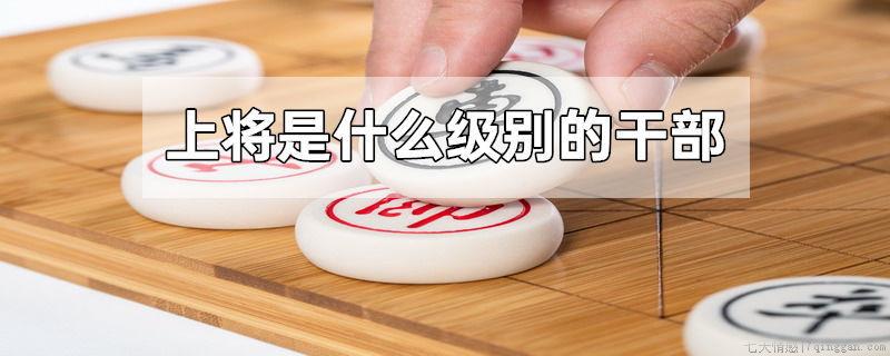 上将是什么级别的干部