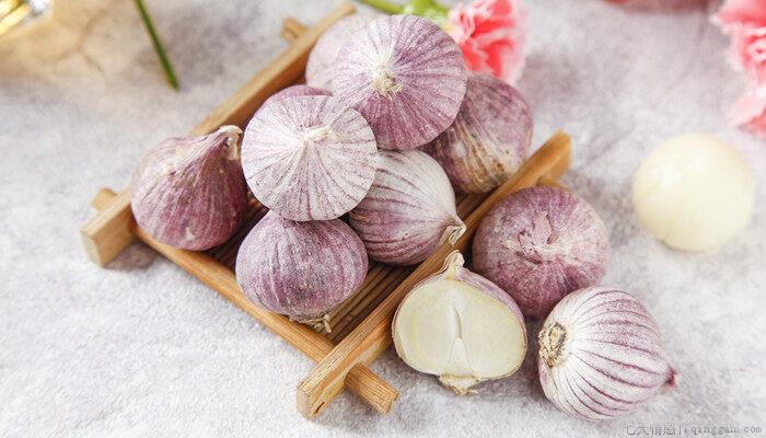 8月份可以种大蒜吗