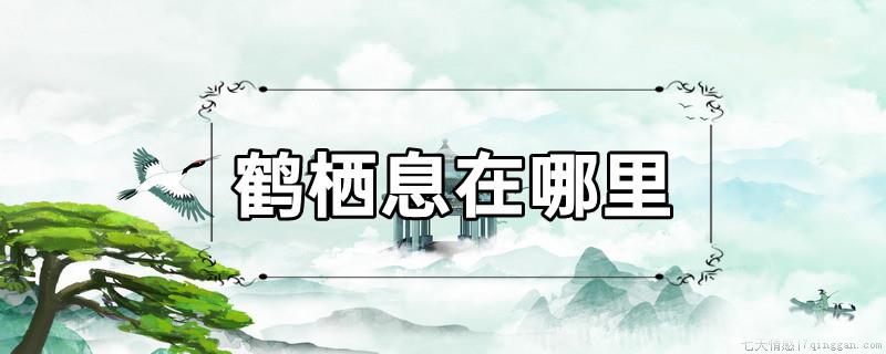 鹤栖息在哪里