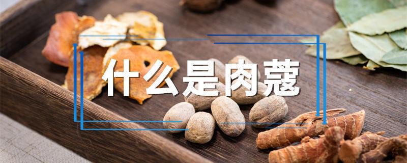 什么是肉蔻
