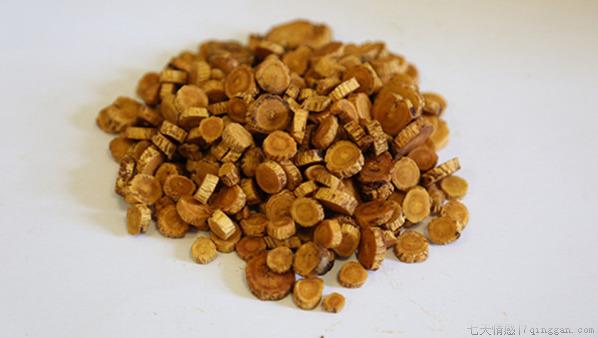 女贞子的功效与作用及食用方法