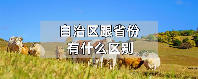 自治区跟省份有什么区别