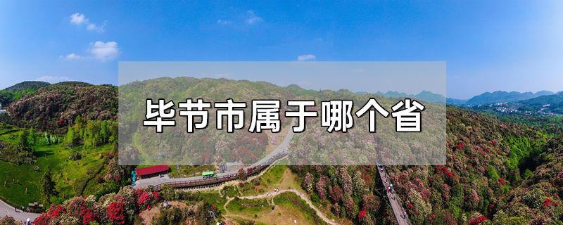 毕节市属于哪个省