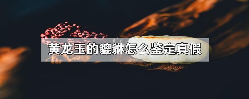 黄龙玉的貔貅怎么鉴定真假