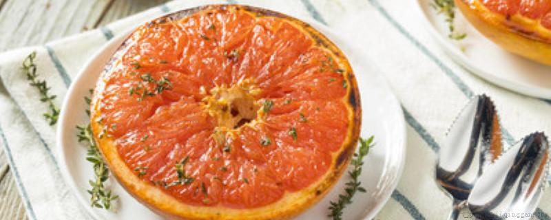 一瓣柚子多少克