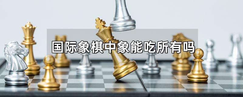国际象棋中象能吃所有吗