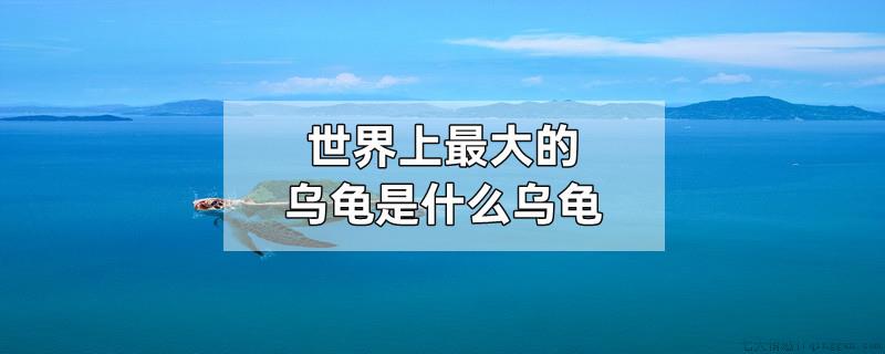 世界上最大的乌龟是什么乌龟