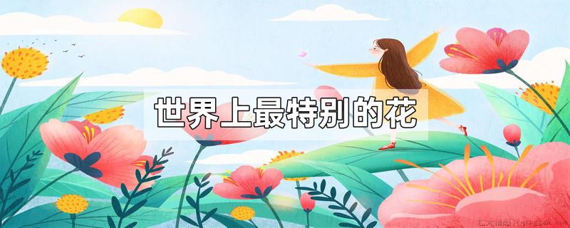 世界上最特别的花