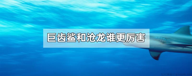巨齿鲨和沧龙谁更厉害