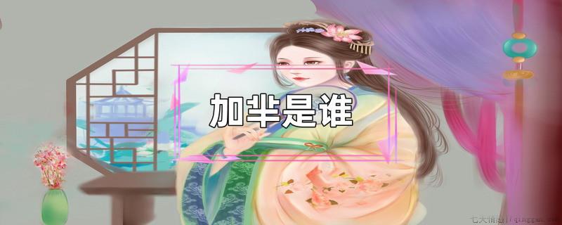 加芈是谁