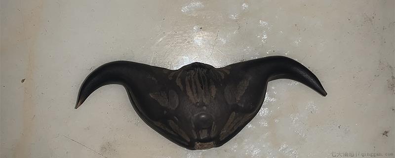 像牛角的果是什么果