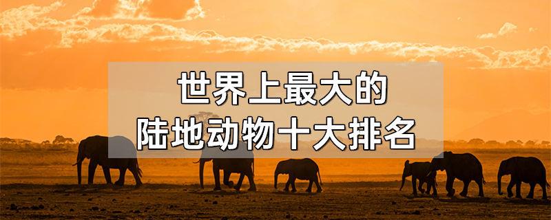 世界上最大的陆地动物十大排名