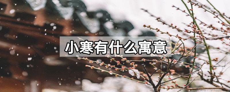 小寒有什么寓意