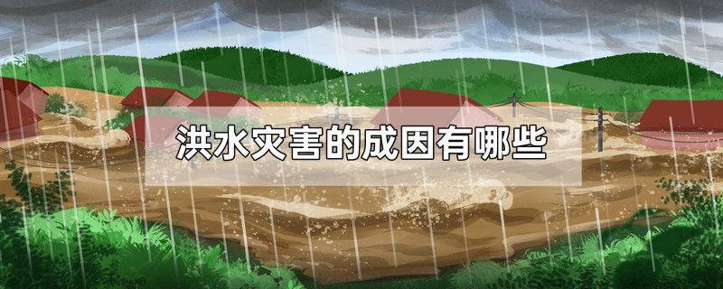 洪水灾害的成因有哪些