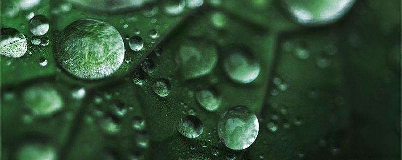 清明节为什么总下雨