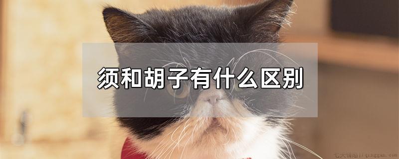 须和胡子有什么区别