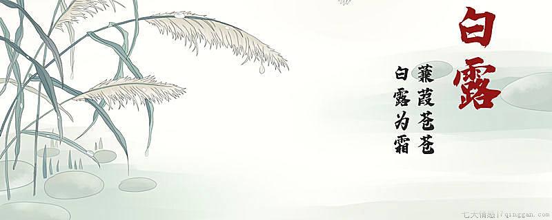 诗经属于毛诗吗