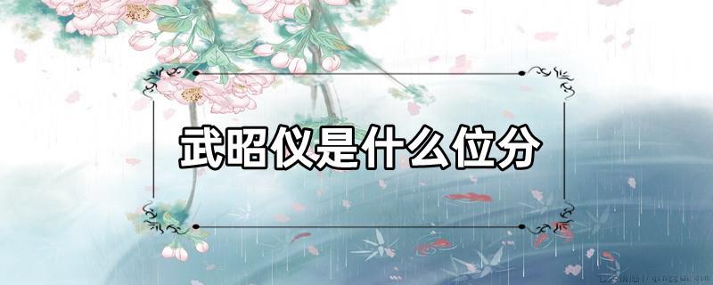 武昭仪是什么位分