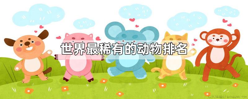 世界最稀有的动物排名