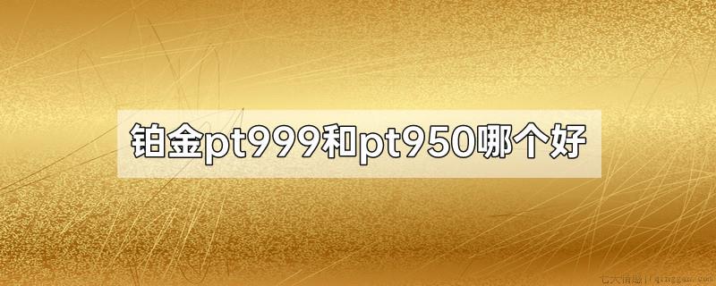 铂金pt999和pt950哪个好