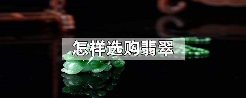 怎样选购翡翠