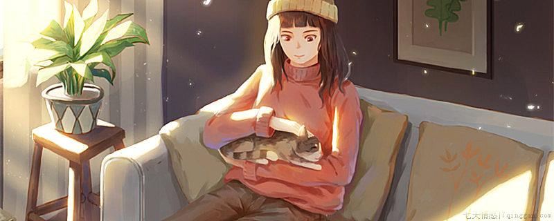 吸猫是什么意思