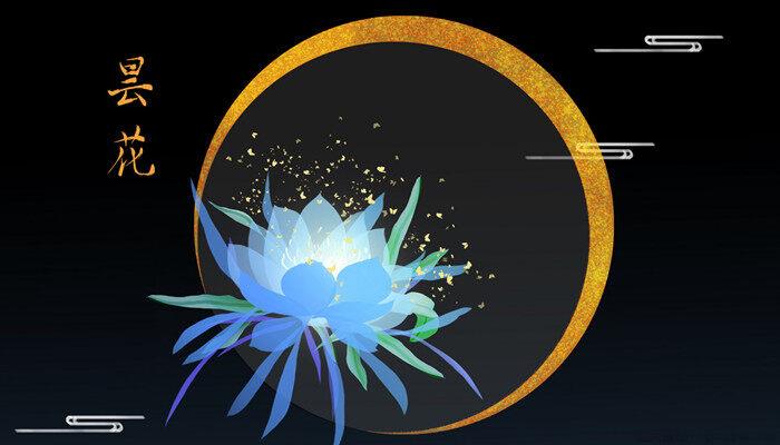 昙花一般晚上几点开花