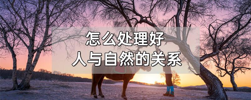 怎么处理好人与自然的关系
