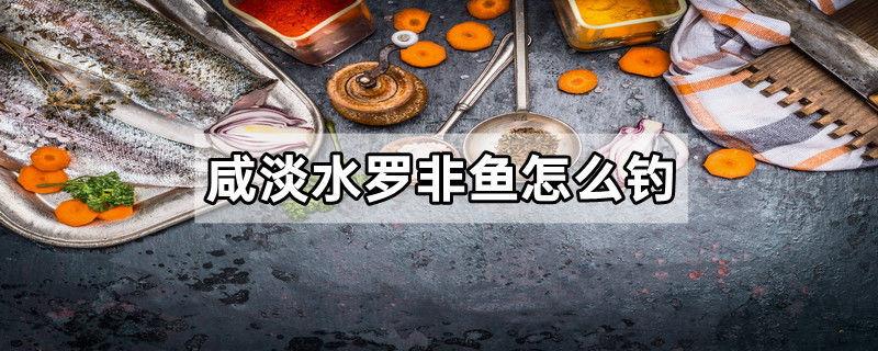 咸淡水罗非鱼怎么钓