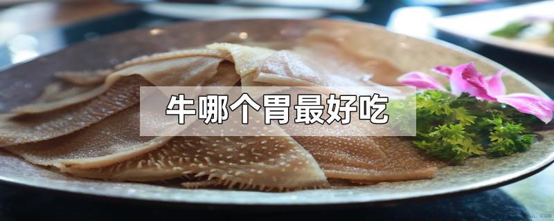 牛哪个胃最好吃