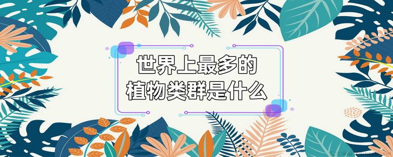 世界上最多的植物类群是什么