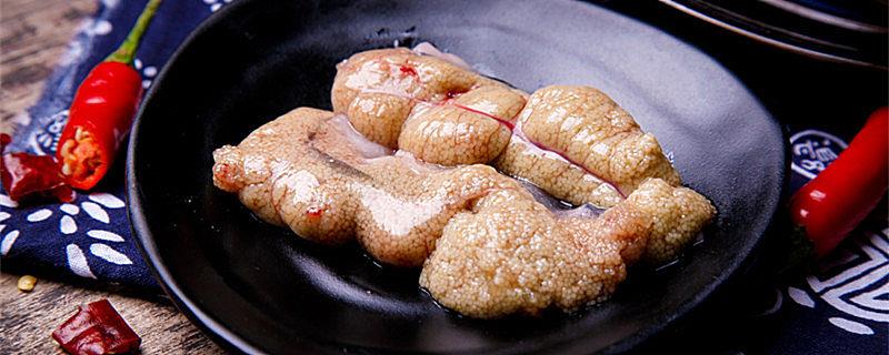 鱼在什么季节产子
