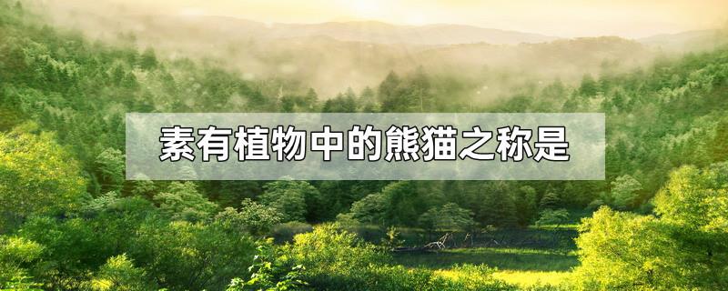 素有植物中的熊猫之称是