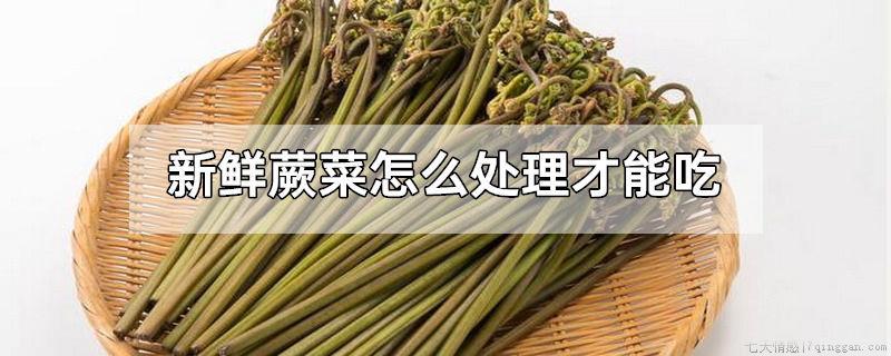 新鲜蕨菜怎么处理才能吃