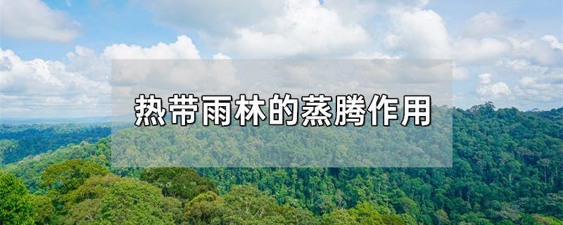 热带雨林的蒸腾作用