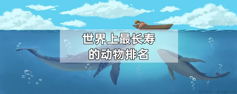 世界上最长寿的动物排名