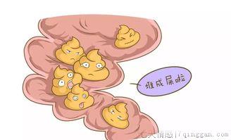 排便不畅怎么办