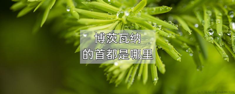 博茨瓦纳的首都是哪里