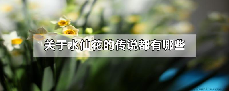 关于水仙花的传说都有哪些