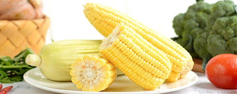 杂交玉米是谁发明的