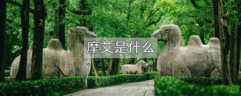 摩艾是什么