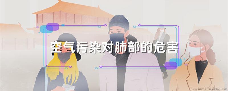 空气污染对肺部的危害