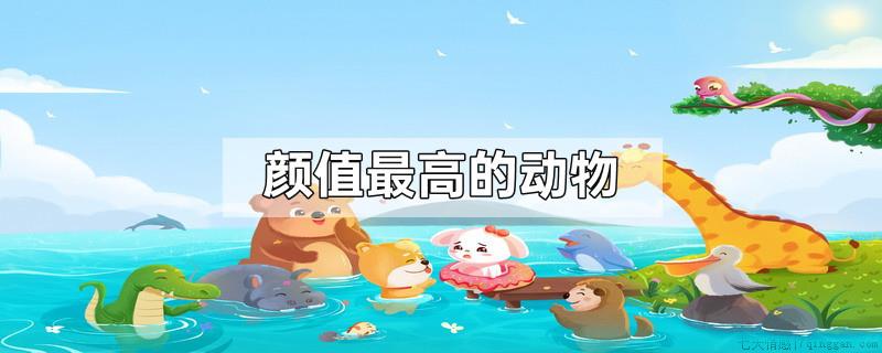 颜值最高的动物