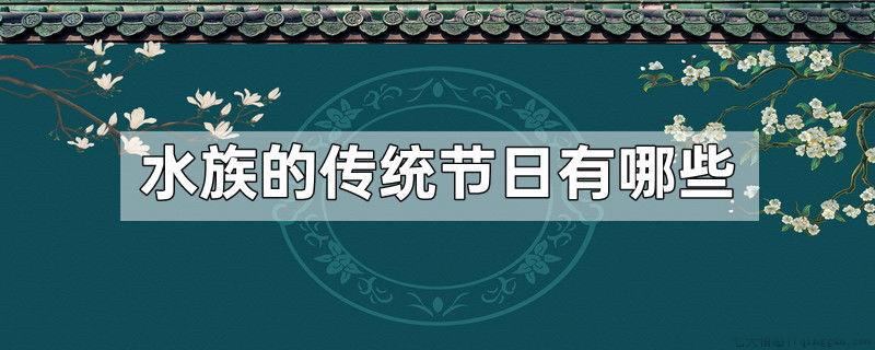 水族的传统节日有哪些