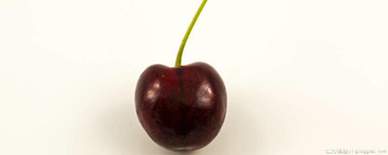 车厘子为什么会有点苦