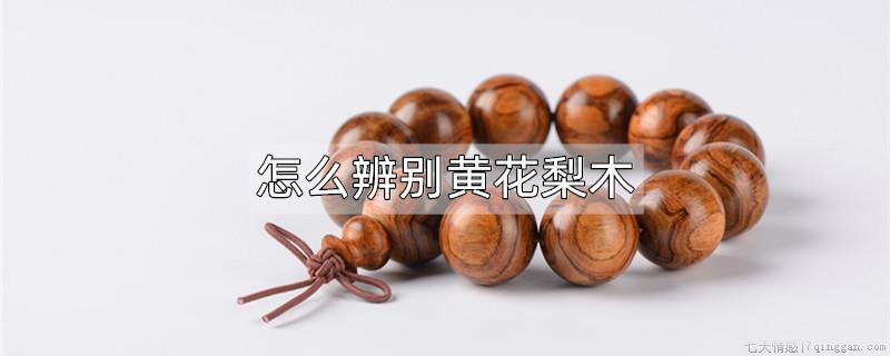 怎么辨别黄花梨木