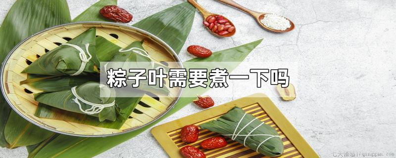粽子叶需要煮一下吗